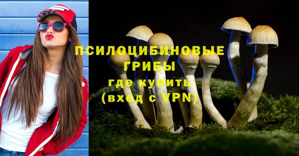 mix Белокуриха